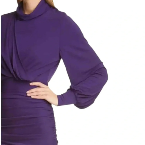 Ronny Kobo Harper Ruched Mini Dress with Balloon Sleeves Purple Eggplant S NWT - Picture 3 of 13